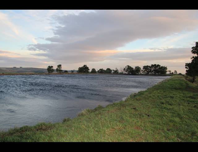 814HA FARM FOR SALE IN RIVERSDALE RURAL
